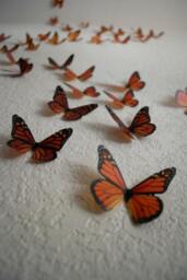 Monarch Butterflies 3D Wall Art - Set Of 100 - thumbnail 4