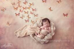 Monarch Butterflies 3D Wall Art - Set Of 100 - thumbnail 1
