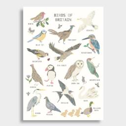 Floral Edition - Birds Of Britain Print Bird Bedroom Decor Theme Poster Garden Children's Prints Wall Art - thumbnail 2