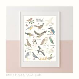 Floral Edition - Birds Of Britain Print Bird Bedroom Decor Theme Poster Garden Children's Prints Wall Art - thumbnail 1