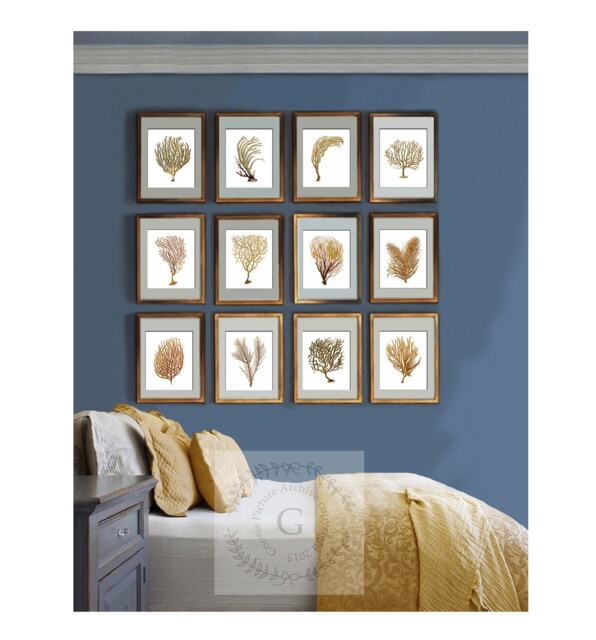Beach Wall Decor Sea Fan Art Coral Prints Set Of 12 Unframed Neutral - image 1