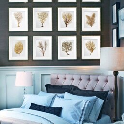 Beach Wall Decor Sea Fan Art Coral Prints Set Of 12 Unframed Neutral - thumbnail 2