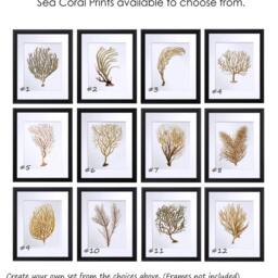 Beach Wall Decor Sea Fan Art Coral Prints Set Of 12 Unframed Neutral - thumbnail 3