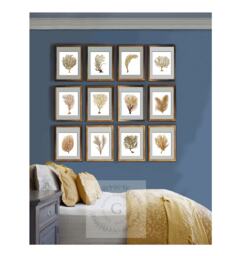 Beach Wall Decor Sea Fan Art Coral Prints Set Of 12 Unframed Neutral - thumbnail 1