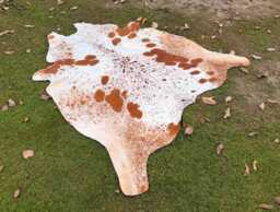 Genuine Brown & White Cow Skin Rug-Natural Hair On Brazilian Hide-Large Speckled Cowhide Area Rug-Authentic Rug-Gift For Christmas - thumbnail 1
