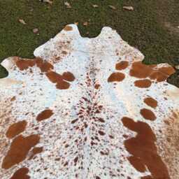 Genuine Brown & White Cow Skin Rug-Natural Hair On Brazilian Hide-Large Speckled Cowhide Area Rug-Authentic Rug-Gift For Christmas - thumbnail 2