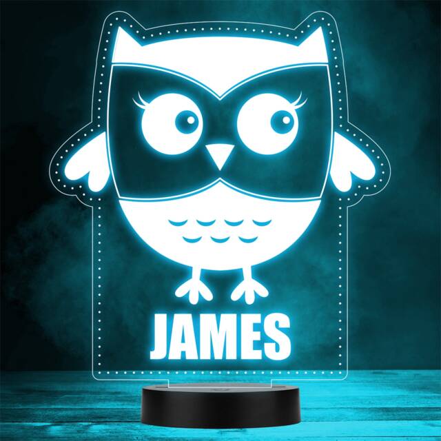 Cute Owl Bird Pretty Animal Lover Led Personalised Gift Night Light - image 1