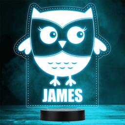 Cute Owl Bird Pretty Animal Lover Led Personalised Gift Night Light - thumbnail 1