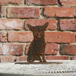 New Chihuahua Rusty Metal Outdoor & Garden Gift, Chihuahua Decoration - thumbnail 3