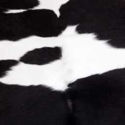 Black & White Cowhide Rug Small Natural Hair-On Leather - 37x35 Inches - thumbnail 3
