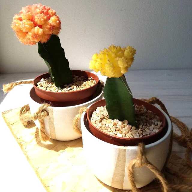Ceramic Planter, Succulent White Turquoise Plant Pot, Pottery Hanging Planter - image 1