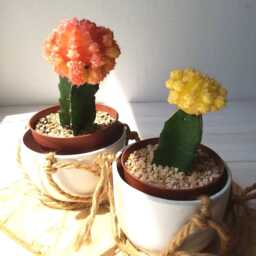 Ceramic Planter, Succulent White Turquoise Plant Pot, Pottery Hanging Planter - thumbnail 2