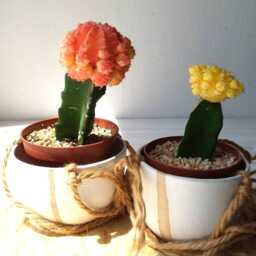 Ceramic Planter, Succulent White Turquoise Plant Pot, Pottery Hanging Planter - thumbnail 3