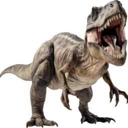 Tyrannosaurus Rex Dinosaur T-Rex Wall Decal Sticker Decor Art Or44 - thumbnail 3