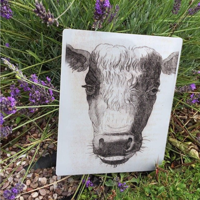 Cows Head Vintage Advertising Enamel Metal Tin Sign Wall Plaque