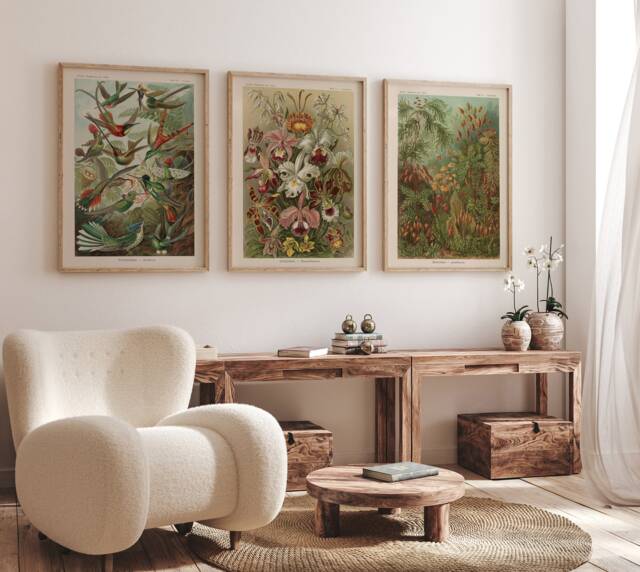 Set Of 3 Nature Posters, Botanical Gallery Wall, Antique School Art, Country Farmhouse Decor, Ernst Haeckel Flower Muted Green Prints - image 1