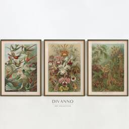 Set Of 3 Nature Posters, Botanical Gallery Wall, Antique School Art, Country Farmhouse Decor, Ernst Haeckel Flower Muted Green Prints - thumbnail 2