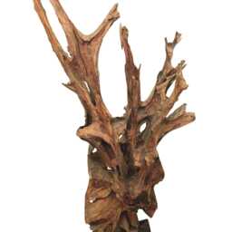 Large Teak Root Forest Sculpture 170190cm - thumbnail 4