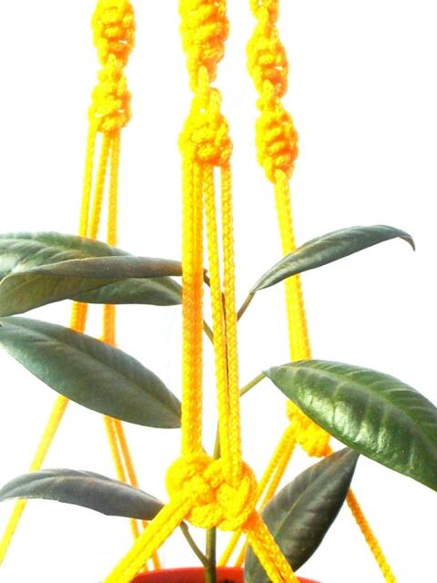 Yellow Mini Plant Hanger Macrame Hanging Planter 20 Inches 3mm Wall Indoor Or Outdoor Decor Gift Idea Flower Pot - image 1