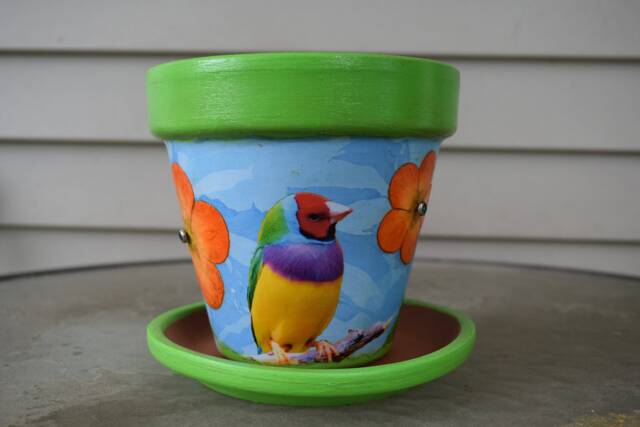 Up-Cycled Exotic Tropical Bird Decorative Decoupage Flower Pot & Saucer - image 1