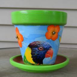 Up-Cycled Exotic Tropical Bird Decorative Decoupage Flower Pot & Saucer - thumbnail 2