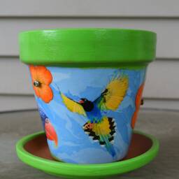 Up-Cycled Exotic Tropical Bird Decorative Decoupage Flower Pot & Saucer - thumbnail 3