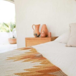 Handwoven Mexican Rug Oaxacan Woven Rugs - Flor De Desierto - Natural Base With Clay Tones - thumbnail 2