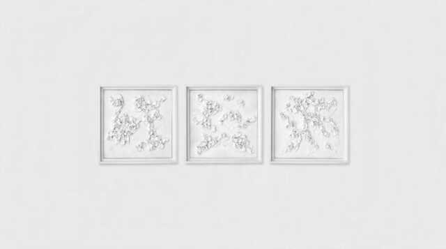 3D Textured Framed White Wall Art Lichen Organic Nature Decor, 3Pc - image 1