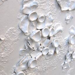 3D Textured Framed White Wall Art Lichen Organic Nature Decor, 3Pc - thumbnail 3