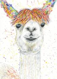 Llama Watercolor Art Print Signed Wildlife Illustration, Eco-Friendly - thumbnail 1