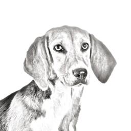 Harrier - Wooden Stand For Candles/Pens With The Image Of A Dog New Collection - thumbnail 2