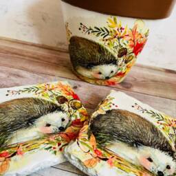 Hedgehog Flower Pot Gift Set, Plant & Coasters, Gifts, Themed Home - thumbnail 2