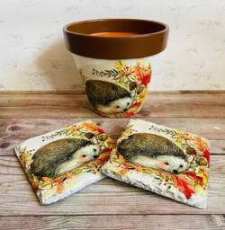Hedgehog Flower Pot Gift Set, Plant & Coasters, Gifts, Themed Home