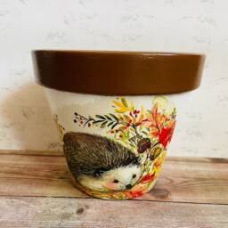 Hedgehog Flower Pot Gift Set, Plant & Coasters, Gifts, Themed Home - thumbnail 3