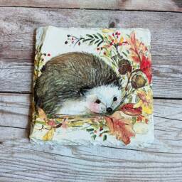 Hedgehog Flower Pot Gift Set, Plant & Coasters, Gifts, Themed Home - thumbnail 4