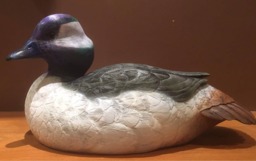 Decorative Duck, Swan & Bird Carvings