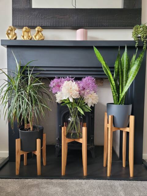 Solid Oak Plant Stand - image 1