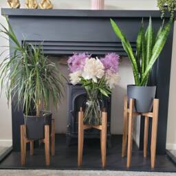 Solid Oak Plant Stand - thumbnail 2
