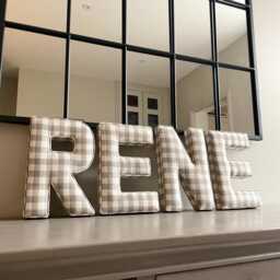 Fabric Letter - Nursery Decor Gingham Print Wall Cushion Letter Made By Anna - thumbnail 4