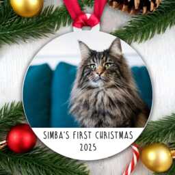 Personalised Pet's First Christmas Tree Decoration Bauble - Cat Kitten Animal Pet Acrylic - Add Your Pet's Name & Year - thumbnail 2