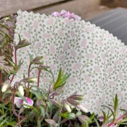 Pink Squiggle Blackout Roman Blind With Ditsy Leaf Frill - thumbnail 3
