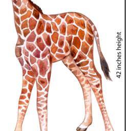 Nursery Wall Decals, Baby Giraffe & Safari Animals - Watercolor, Removable - Children Room Decor, African Wildlife Set - thumbnail 2