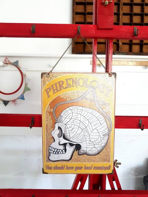 Reversible Hanging Skull Phrenology Wall Art Vegan Eco Gift