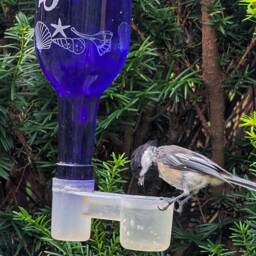 New Etched Fairy Garden With Butterflies Recycled Wine Bottle Hummingbird Or Bird Feeder - thumbnail 4