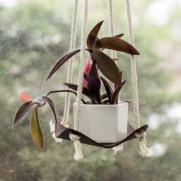 Leather Plant Hammock Hanging Macrame Hanger Modern Holder Indoor Sling Boho Planter Minimalist Home - thumbnail 4