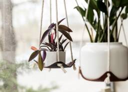 Leather Plant Hammock Hanging Macrame Hanger Modern Holder Indoor Sling Boho Planter Minimalist Home