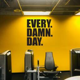 Every. Damn. Day. Wall Decal. Gym Decal, Fitness Design Idea, Home Ideas, Decor, Hotel Ideas - thumbnail 3
