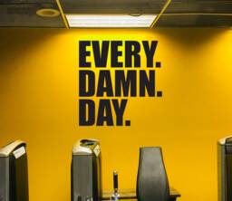 Every. Damn. Day. Wall Decal. Gym Decal, Fitness Design Idea, Home Ideas, Decor, Hotel Ideas