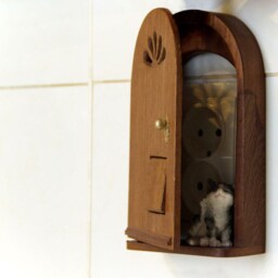 Mysterious Doors From Pet Door Made Of Sapele - thumbnail 2