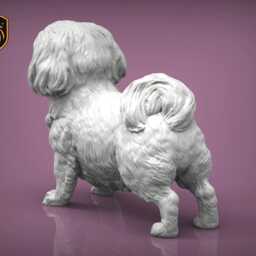 Shih Tzu - Standing Pose - Unpainted Abs Resin Model - Realistic Dog Sculpture - thumbnail 2